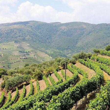 Willa Quinta Do Monte Bravo - Douro - Quarto Duplo Ervedosa do Douro Zewnętrze zdjęcie