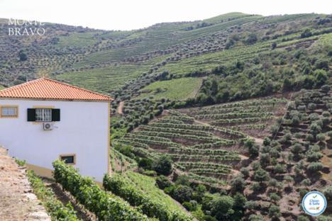 Willa Quinta Do Monte Bravo - Douro - Quarto Duplo Ervedosa do Douro Zewnętrze zdjęcie