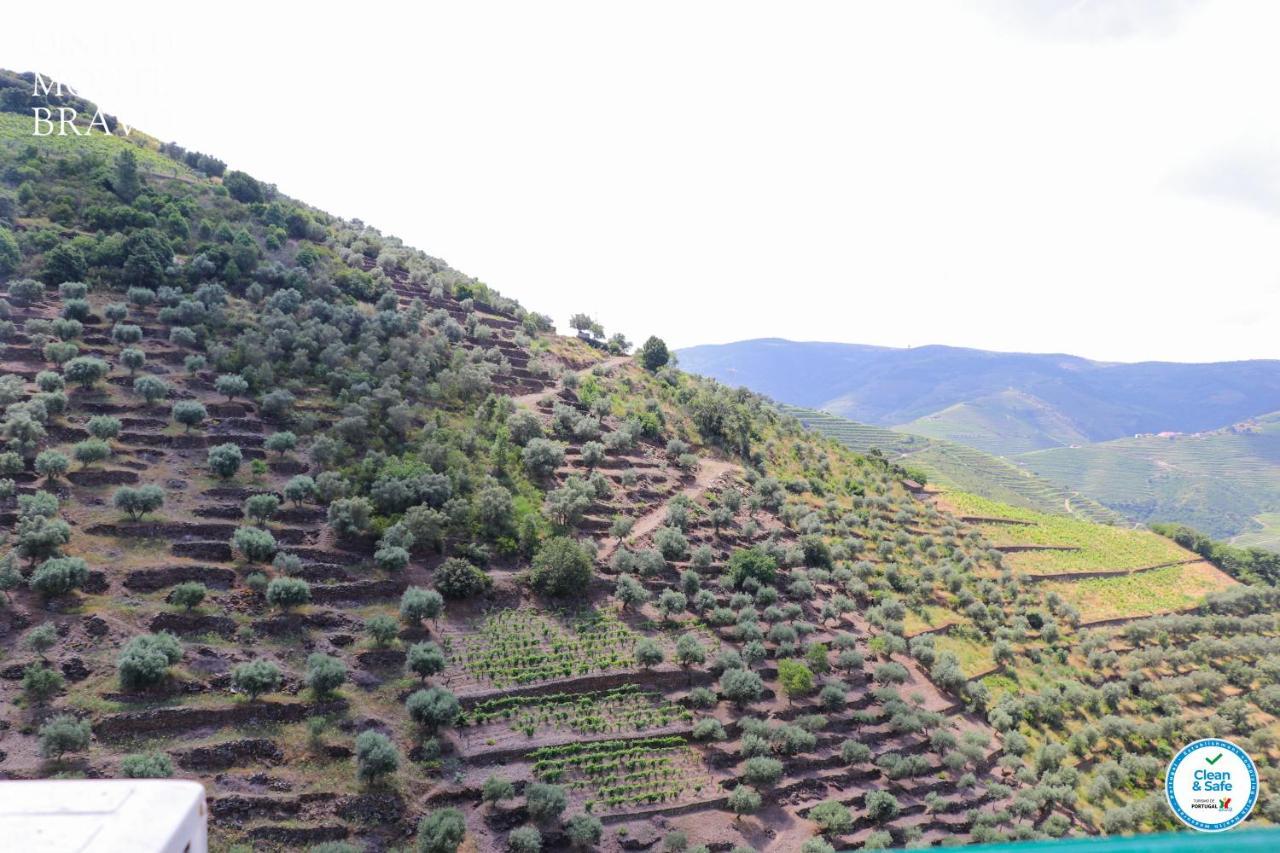 Willa Quinta Do Monte Bravo - Douro - Quarto Duplo Ervedosa do Douro Zewnętrze zdjęcie