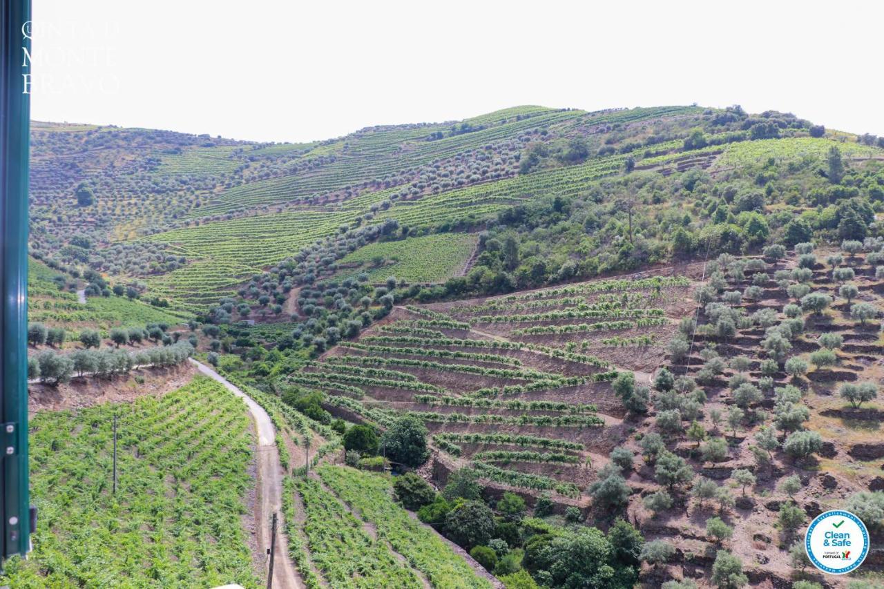 Willa Quinta Do Monte Bravo - Douro - Quarto Duplo Ervedosa do Douro Zewnętrze zdjęcie